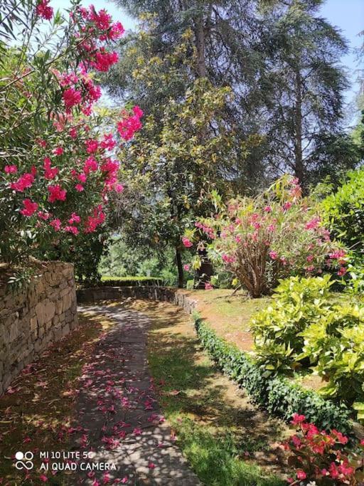 Area Di Gabri E Alfo - Rapallo Gate'S House 外观 照片
